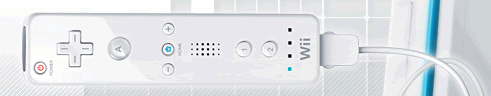 wii controller strap